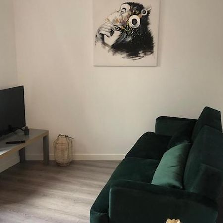 Un Coin De Verdure Dans Le Centre De St Etienne Apartman Saint-Etienne  Kültér fotó