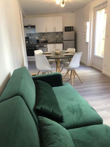 Un Coin De Verdure Dans Le Centre De St Etienne Apartman Saint-Etienne  Kültér fotó
